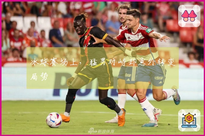 冰球赛场上，猛男对峙却意外转变局势