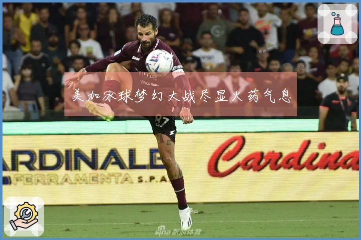 美加冰球梦幻大战尽显火药气息