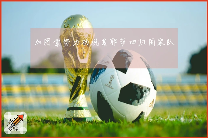 加图索努力劝说基耶萨回归国家队