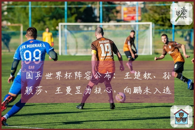 国乒世界杯阵容公布：王楚钦、孙颖莎、王曼昱为核心，向鹏未入选