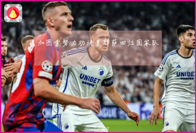 加图索努力劝说基耶萨回归国家队